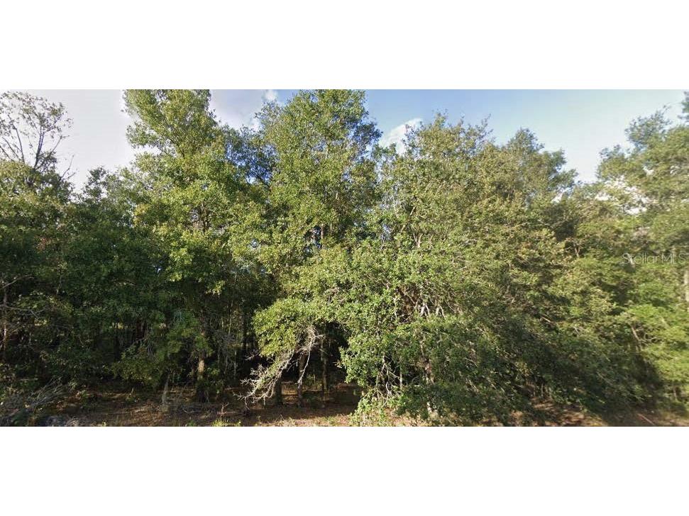 262 Cypress Street Interlachen FL 32148 O6321588 image1