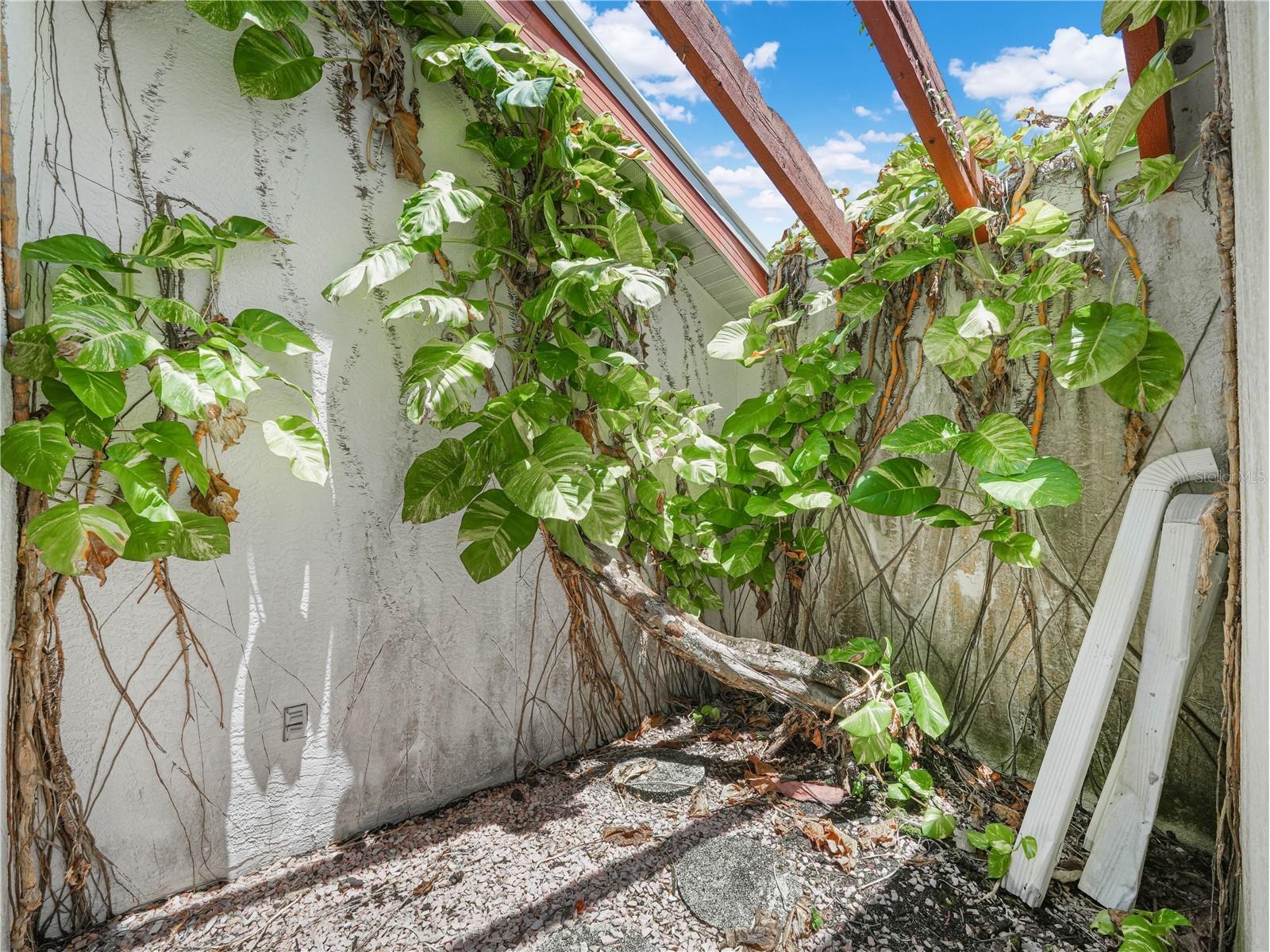 262 George Road SE Port Charlotte FL 33952 C7526440 image4