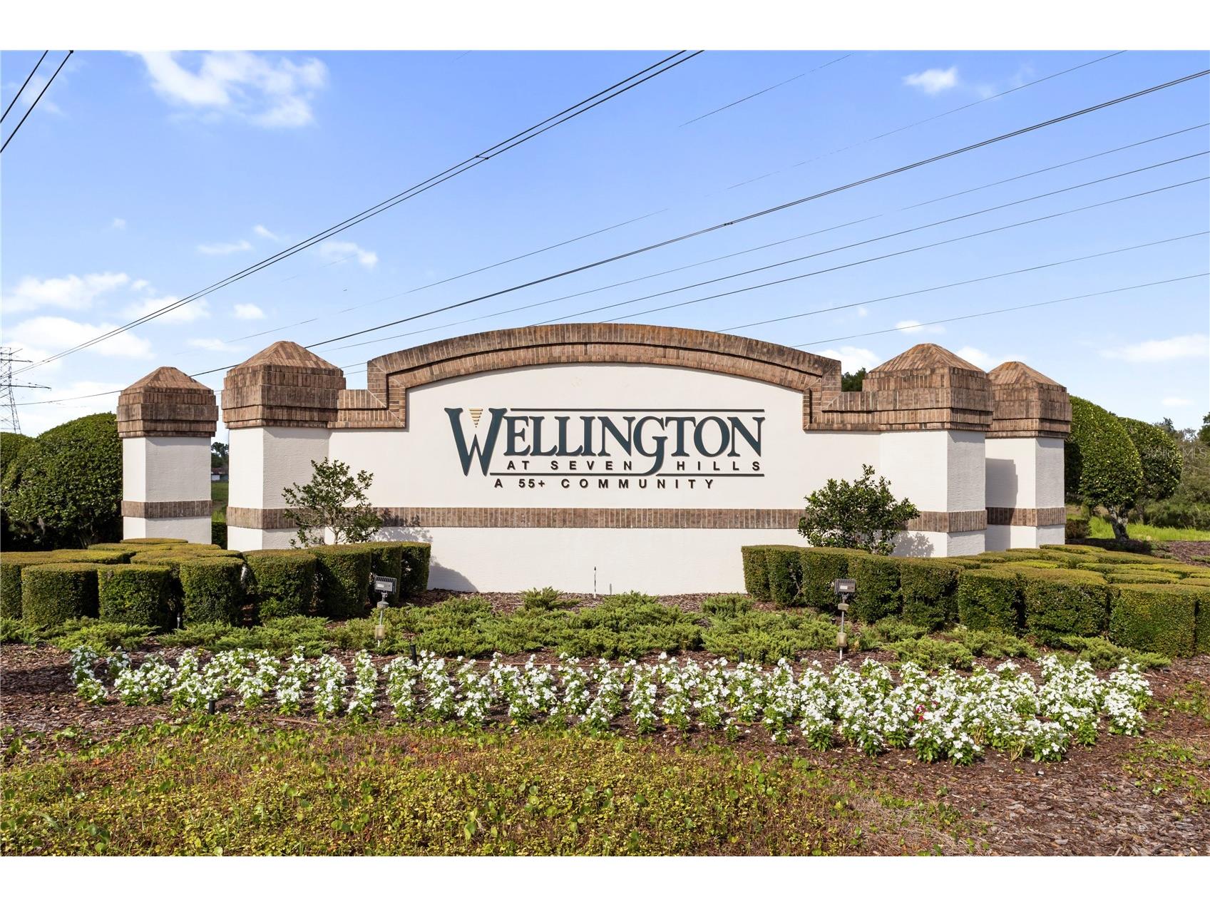262 Hartford Court Spring Hill FL 34609 TB8519195 image43