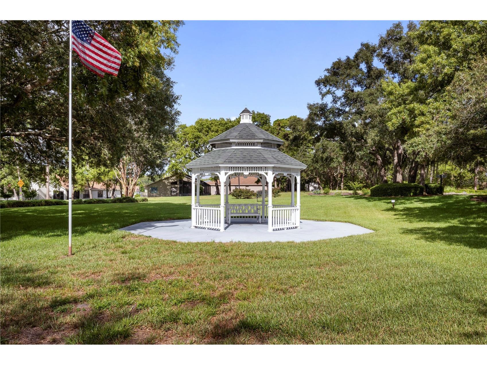262 Hartford Court Spring Hill FL 34609 TB8519195 image44