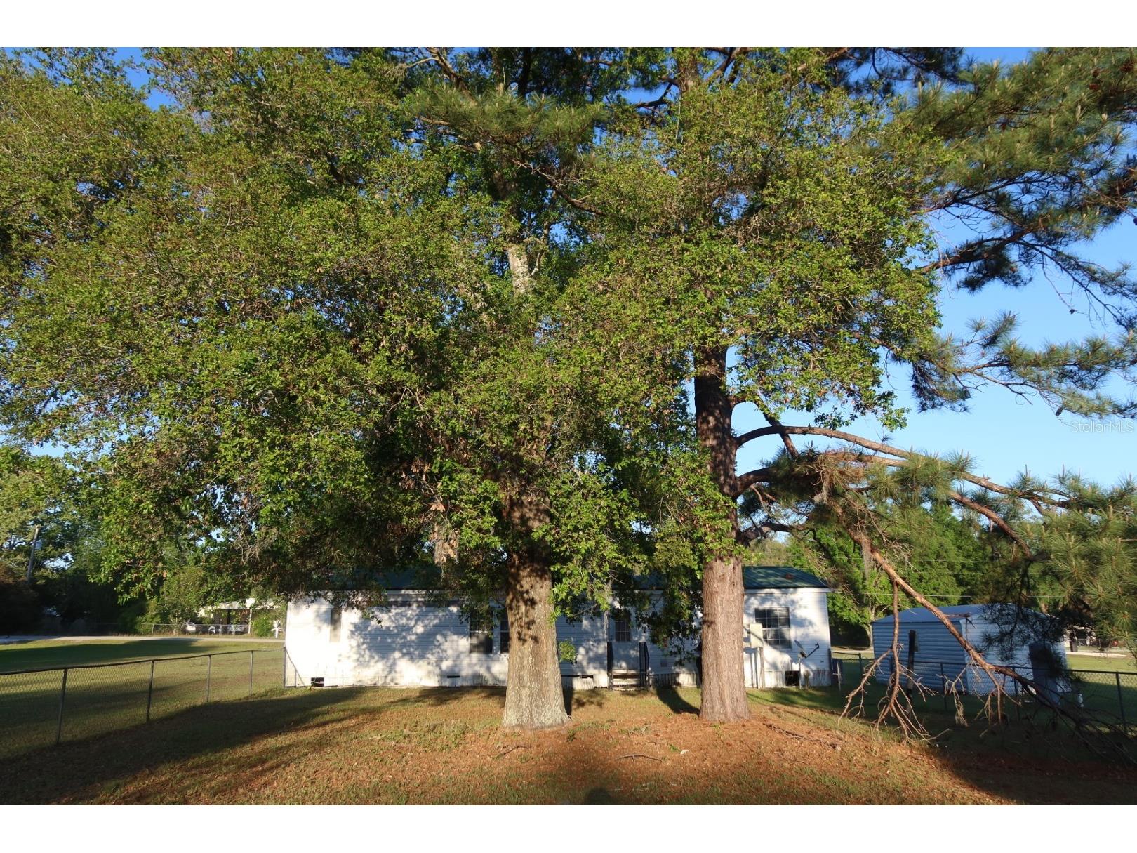 262 SW Lynnwood Avenue Lake City FL 32024 GC538529 image31
