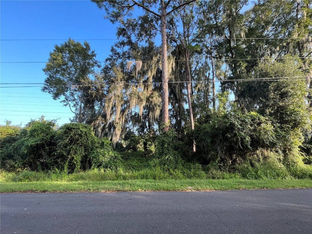 262 Toms Road Debary FL 32713 OK224887 image6
