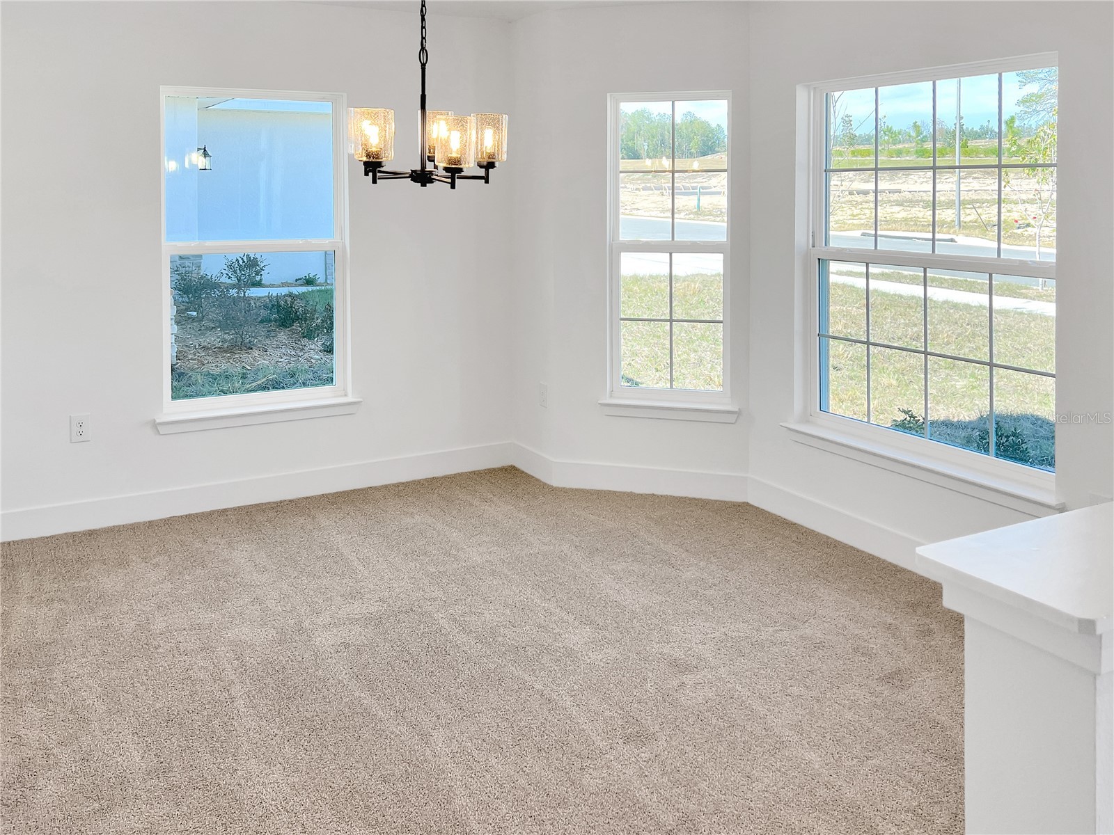 262 Verny Grove Lane Leesburg FL 34748 O6369544 image4
