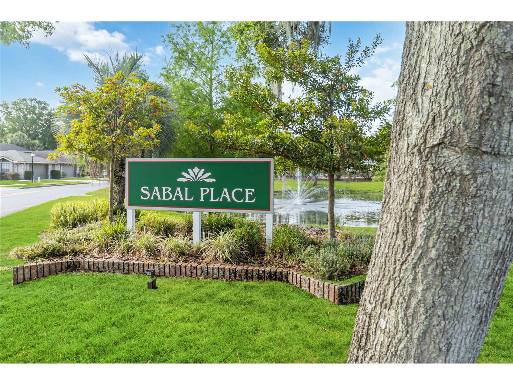 262 W Sabal Palm Place Longwood FL 32779 O6403737 image21
