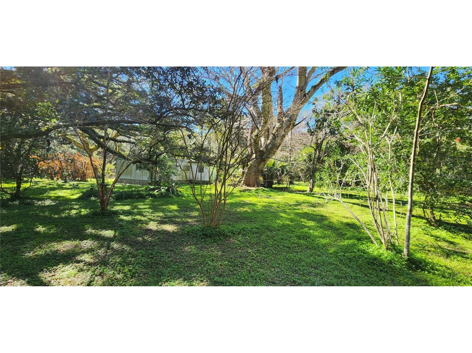 262 Washington Avenue Brooksville FL 34604 T3425081 image1