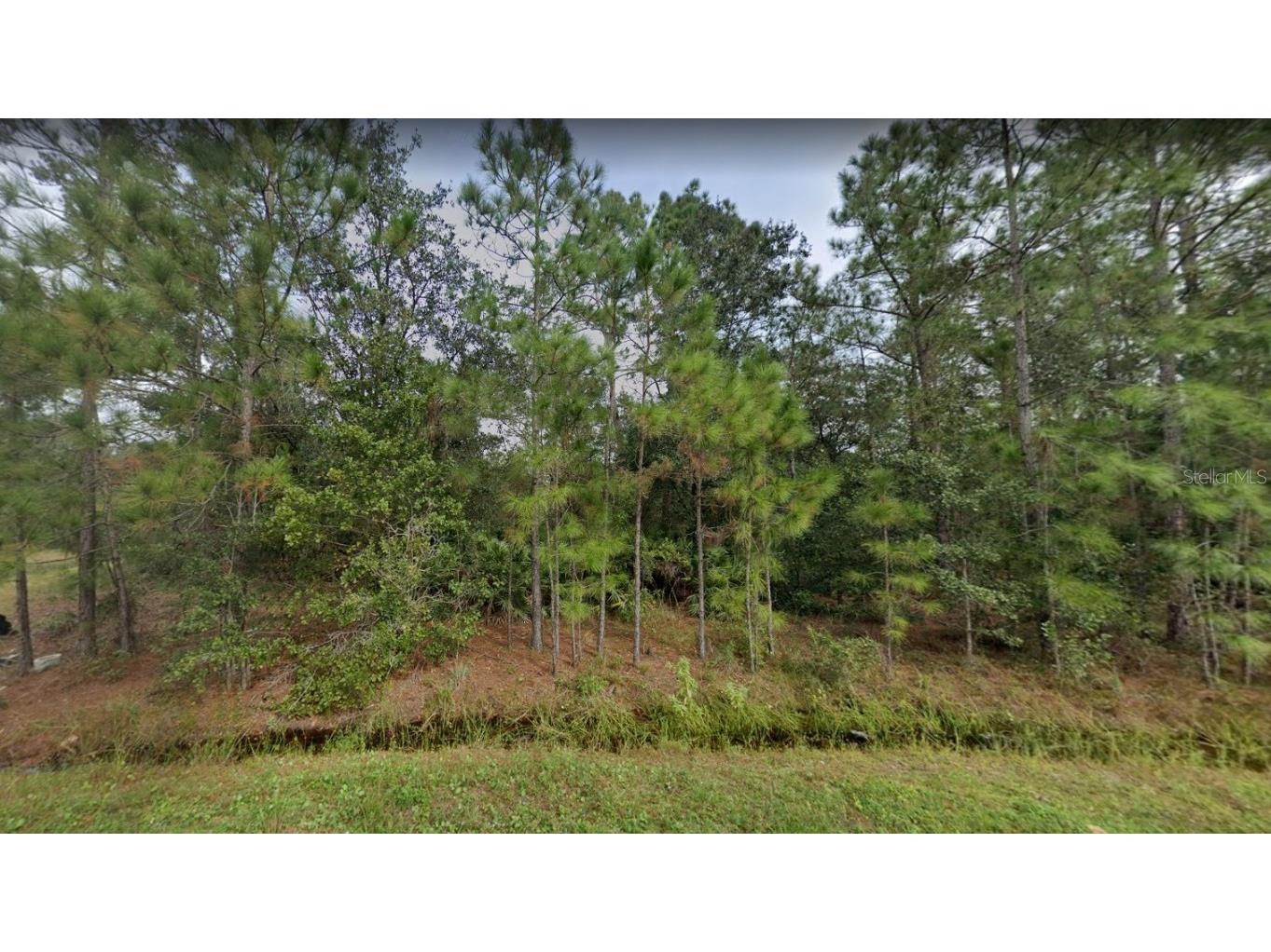 2620 38th Street W Lehigh Acres FL 33971 O6144990 image1