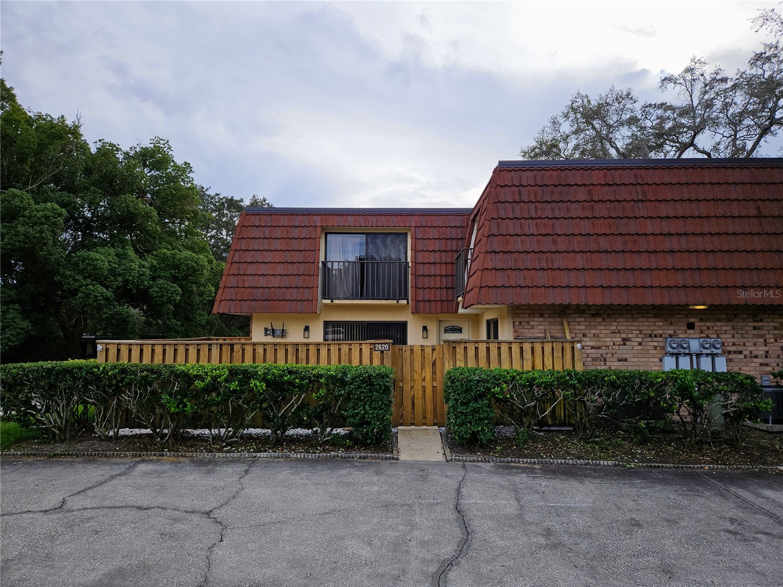 2620 6th Court Palm Harbor FL 34684 TB8503370 image2