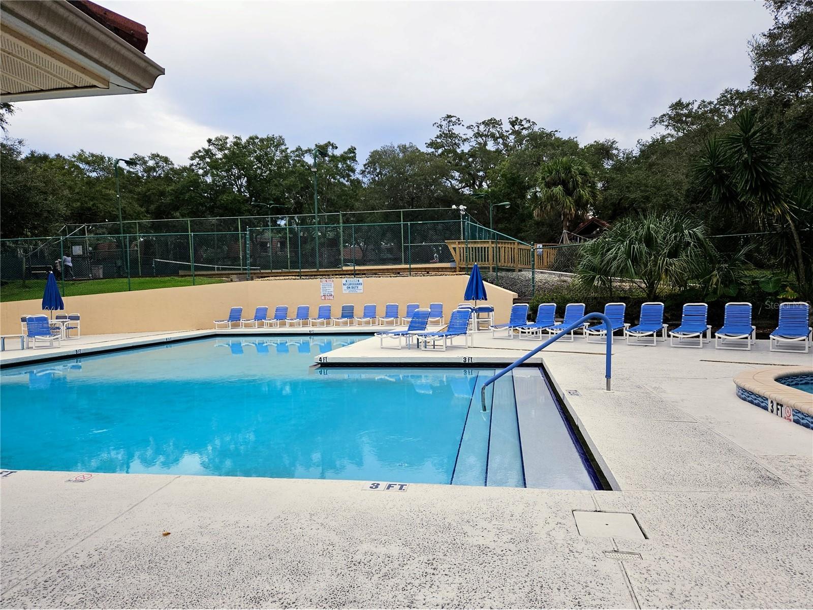 2620 6th Court Palm Harbor FL 34684 TB8503370 image35