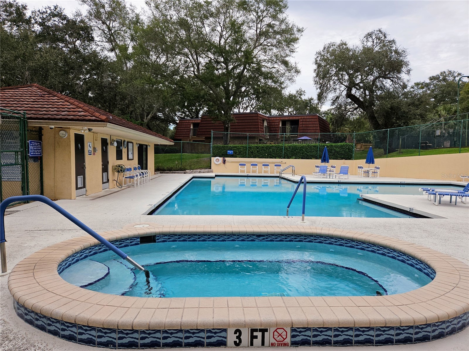 2620 6th Court Palm Harbor FL 34684 TB8503370 image36