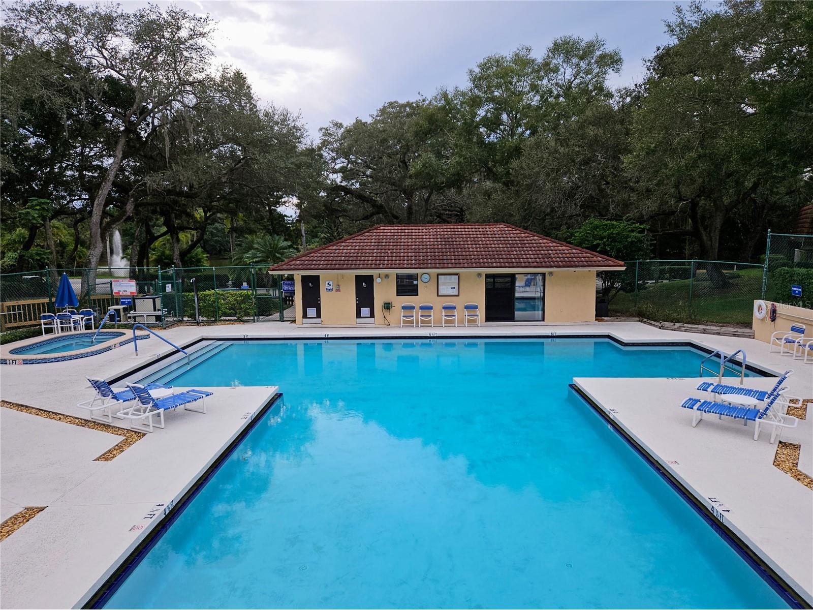 2620 6th Court Palm Harbor FL 34684 TB8503370 image37
