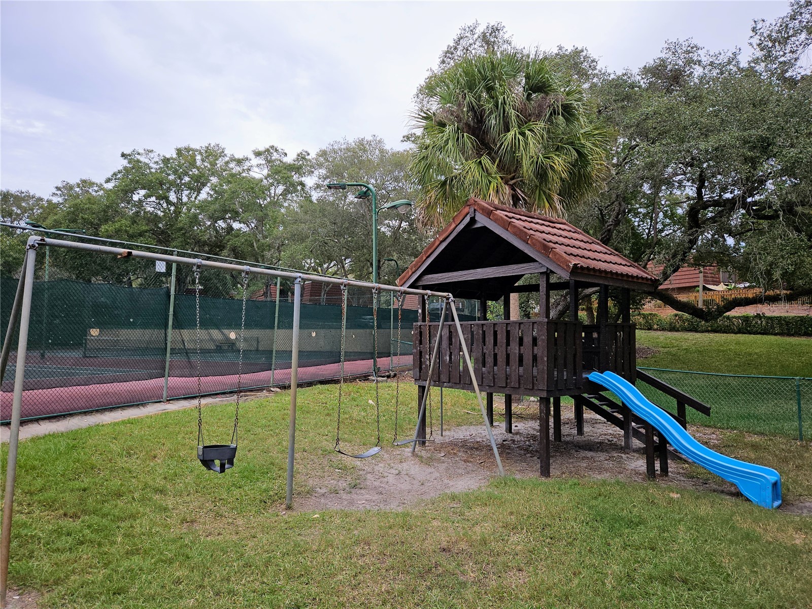 2620 6th Court Palm Harbor FL 34684 TB8503370 image39