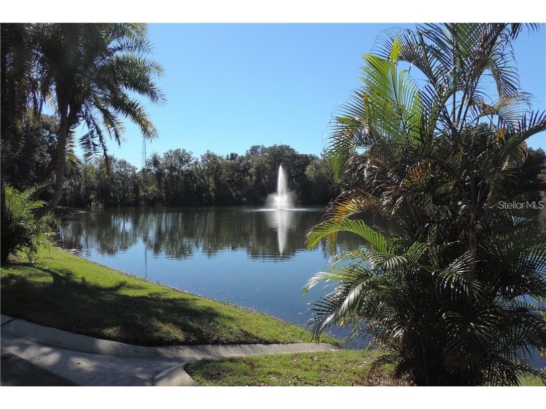 2620 6th Court Palm Harbor FL 34684 TB8503370 image41