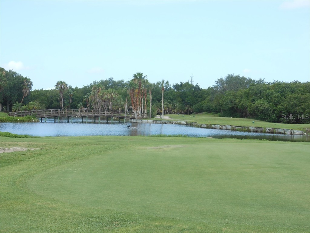 2620 Cove Cay Drive #107 Clearwater FL 33760 - TAMPA BAY TB8437331 image49