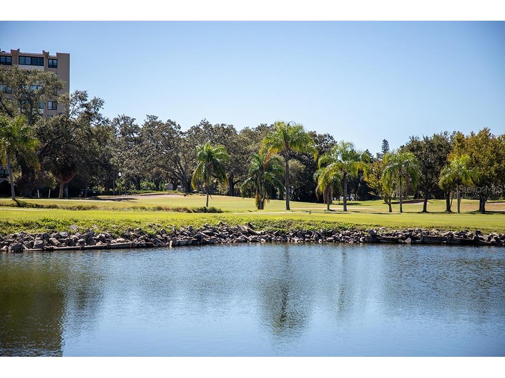 2620 Cove Cay Drive #207 Clearwater FL 33760 - TAMPA BAY AND GOLF COURSE POND TB8516369 image45