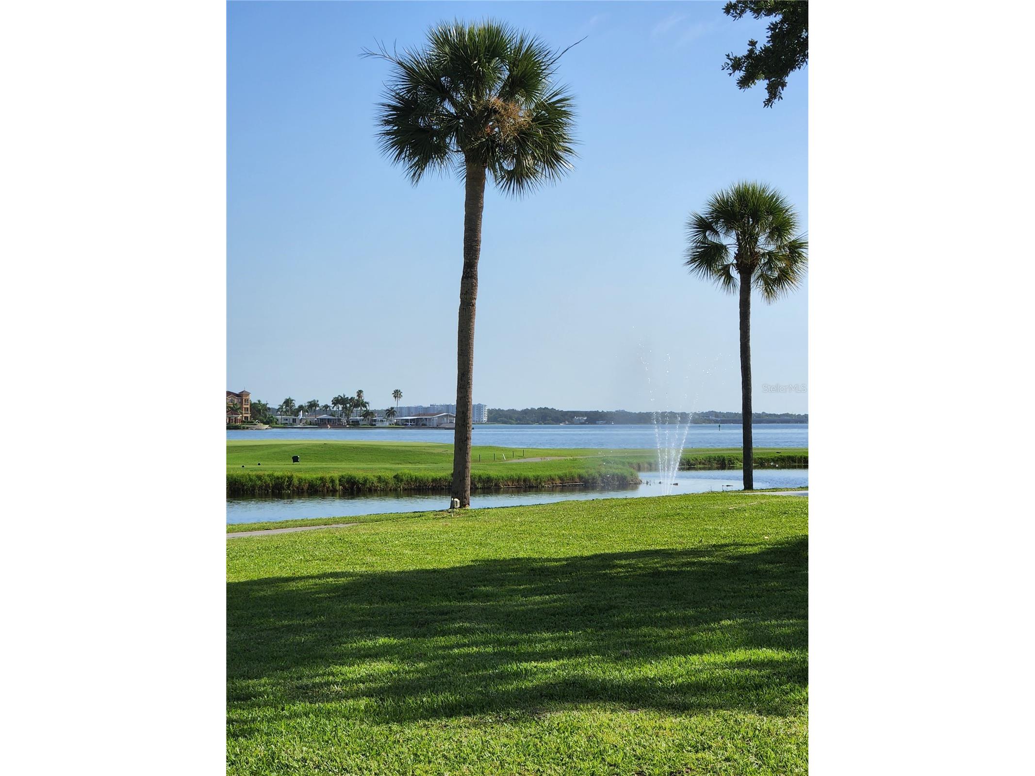 2620 Cove Cay Drive #207 Clearwater FL 33760 - TAMPA BAY AND GOLF COURSE POND TB8516369 image50