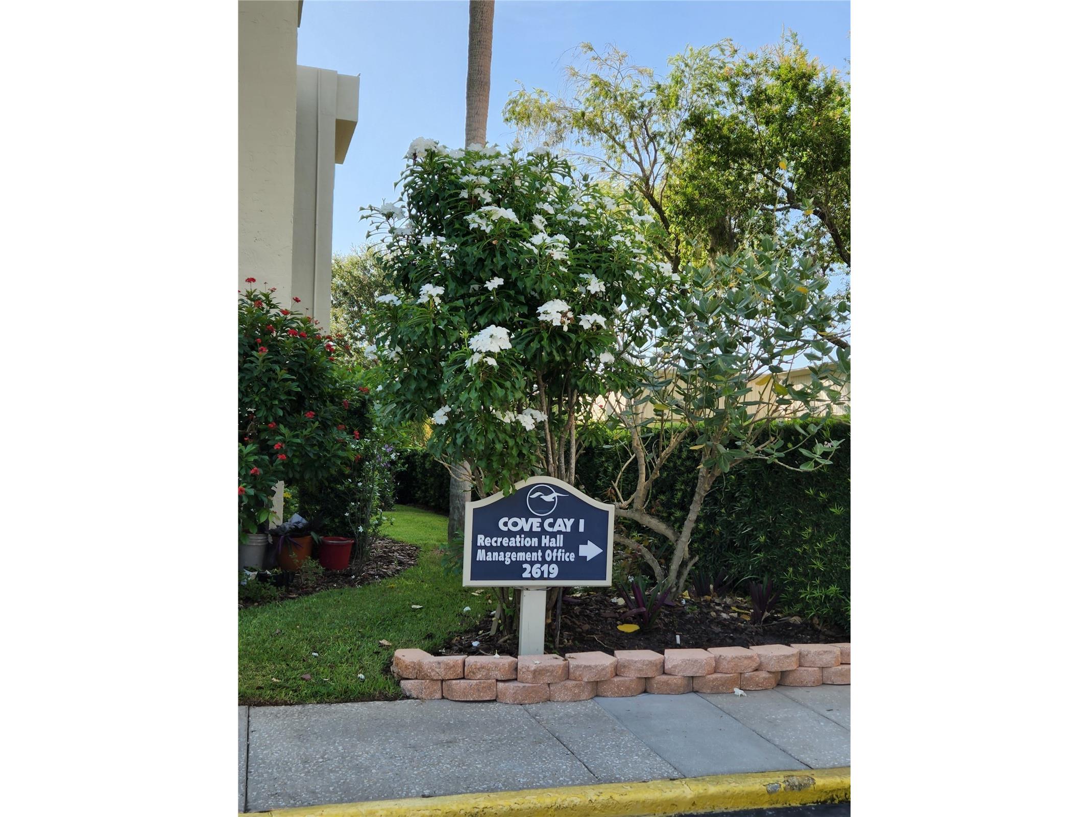 2620 Cove Cay Drive #207 Clearwater FL 33760 - TAMPA BAY AND GOLF COURSE POND TB8516369 image53