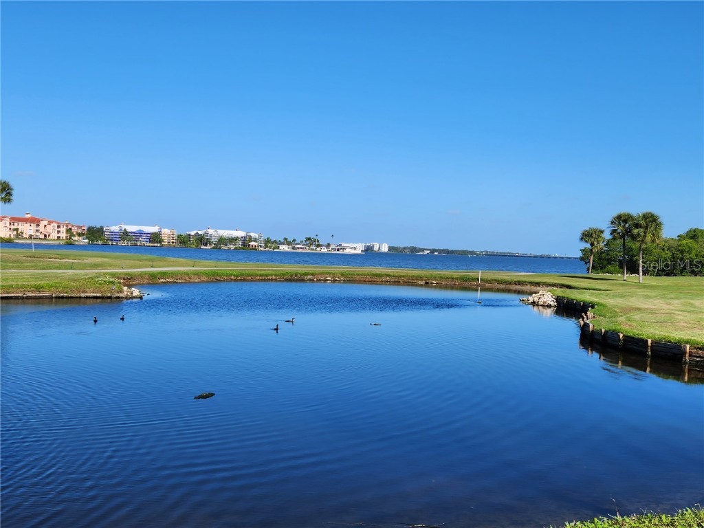 2620 Cove Cay Drive #601 Clearwater FL 33760 - TAMPA BAY AND GOLF COURSE POND TB8454500 image50