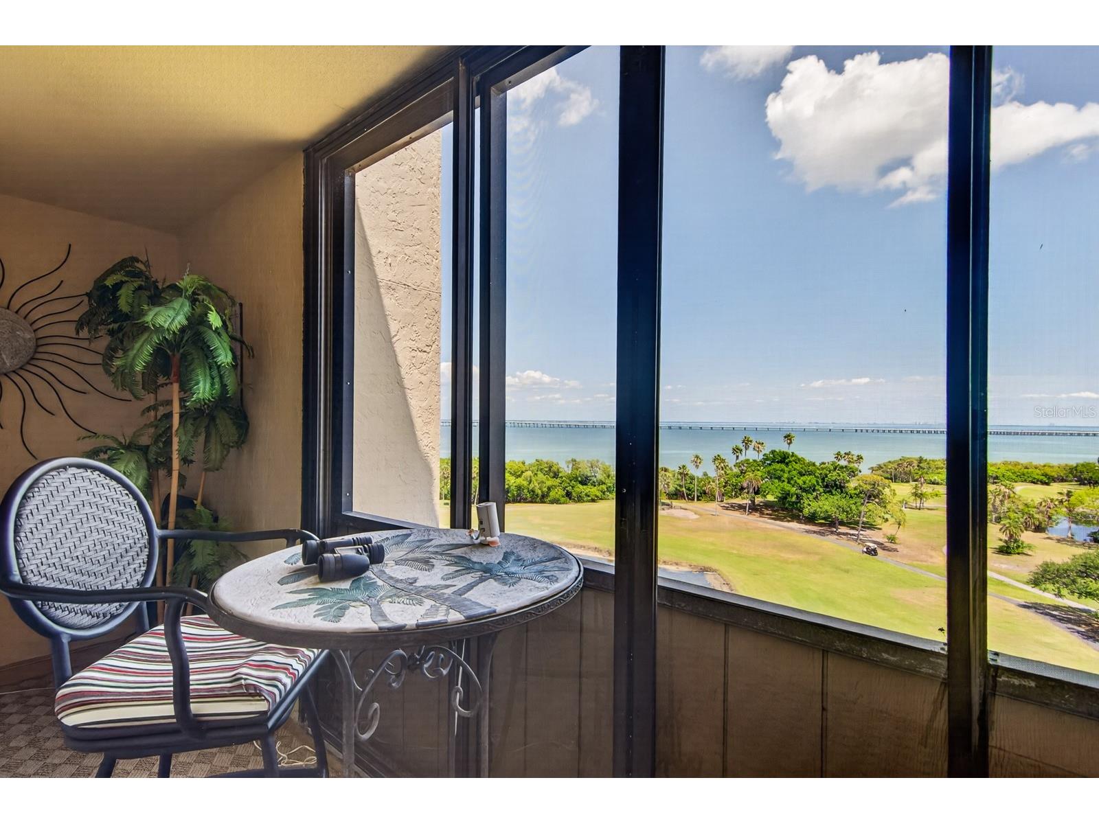 2620 Cove Cay Drive #904 Clearwater FL 33760 TB8504433 image17
