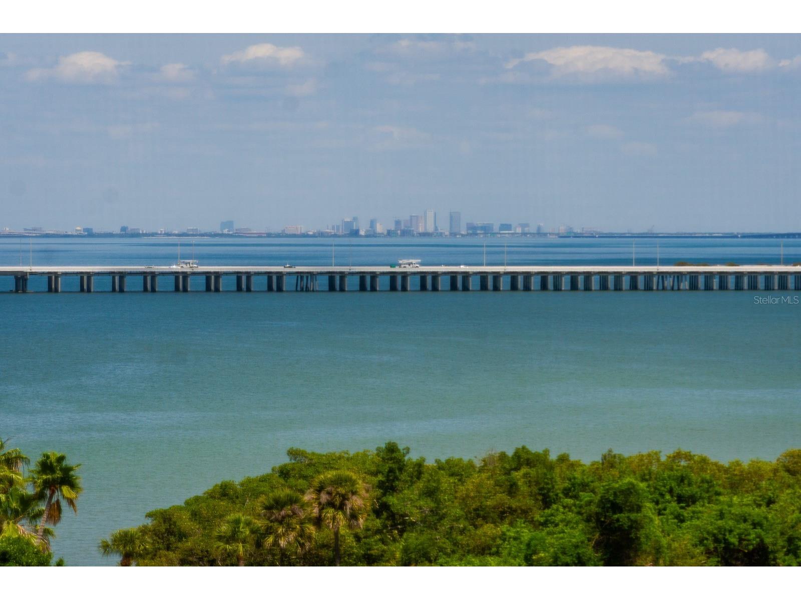 2620 Cove Cay Drive #904 Clearwater FL 33760 TB8504433 image19