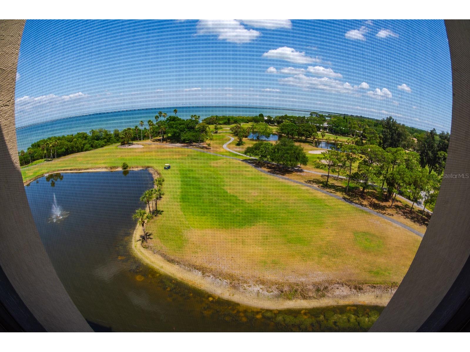2620 Cove Cay Drive #904 Clearwater FL 33760 TB8504433 image32