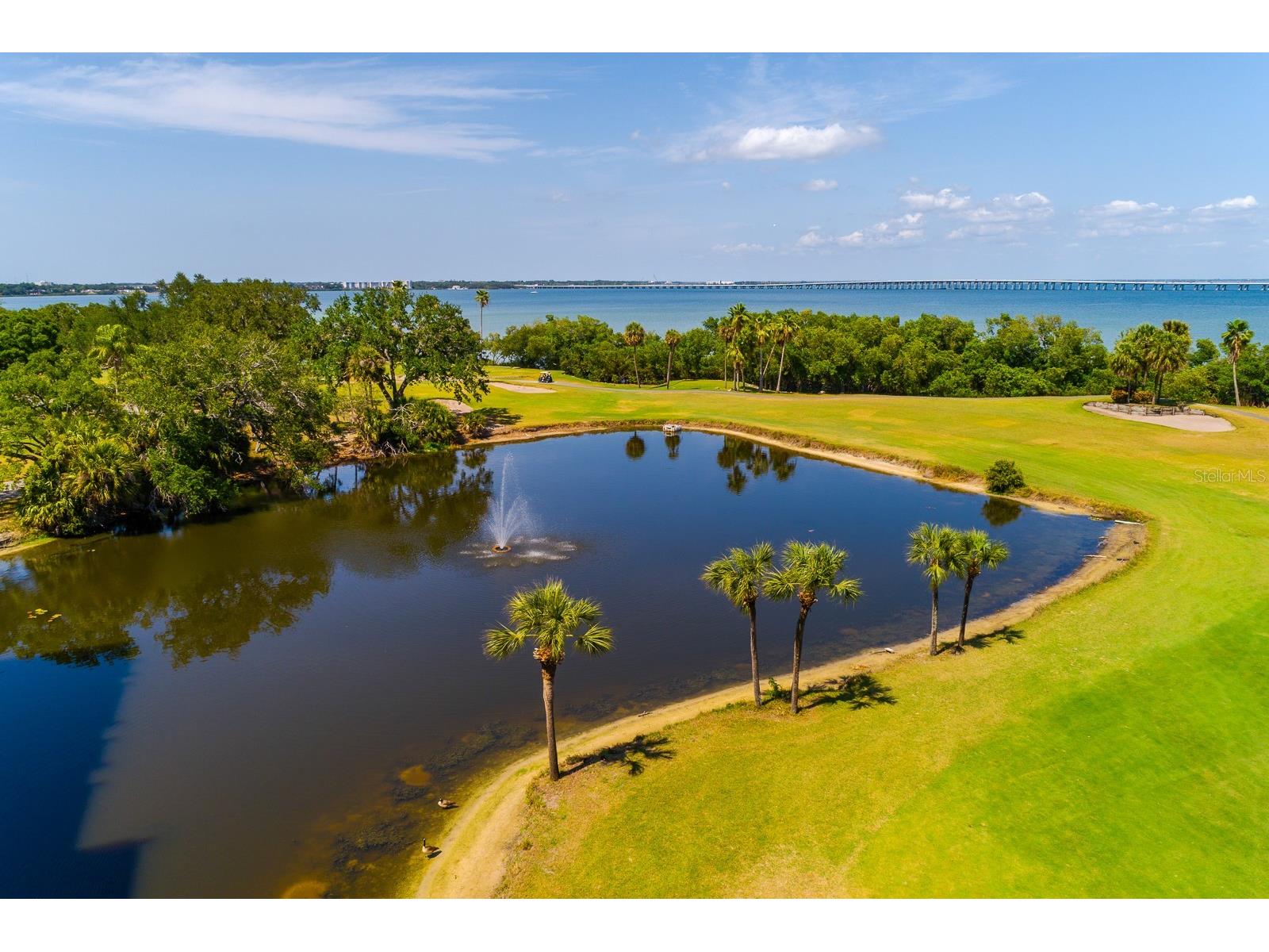 2620 Cove Cay Drive #904 Clearwater FL 33760 TB8504433 image33
