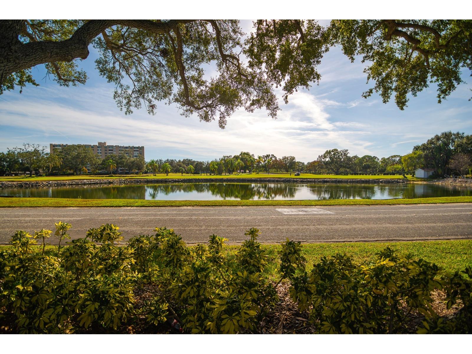 2620 Cove Cay Drive #904 Clearwater FL 33760 TB8504433 image47