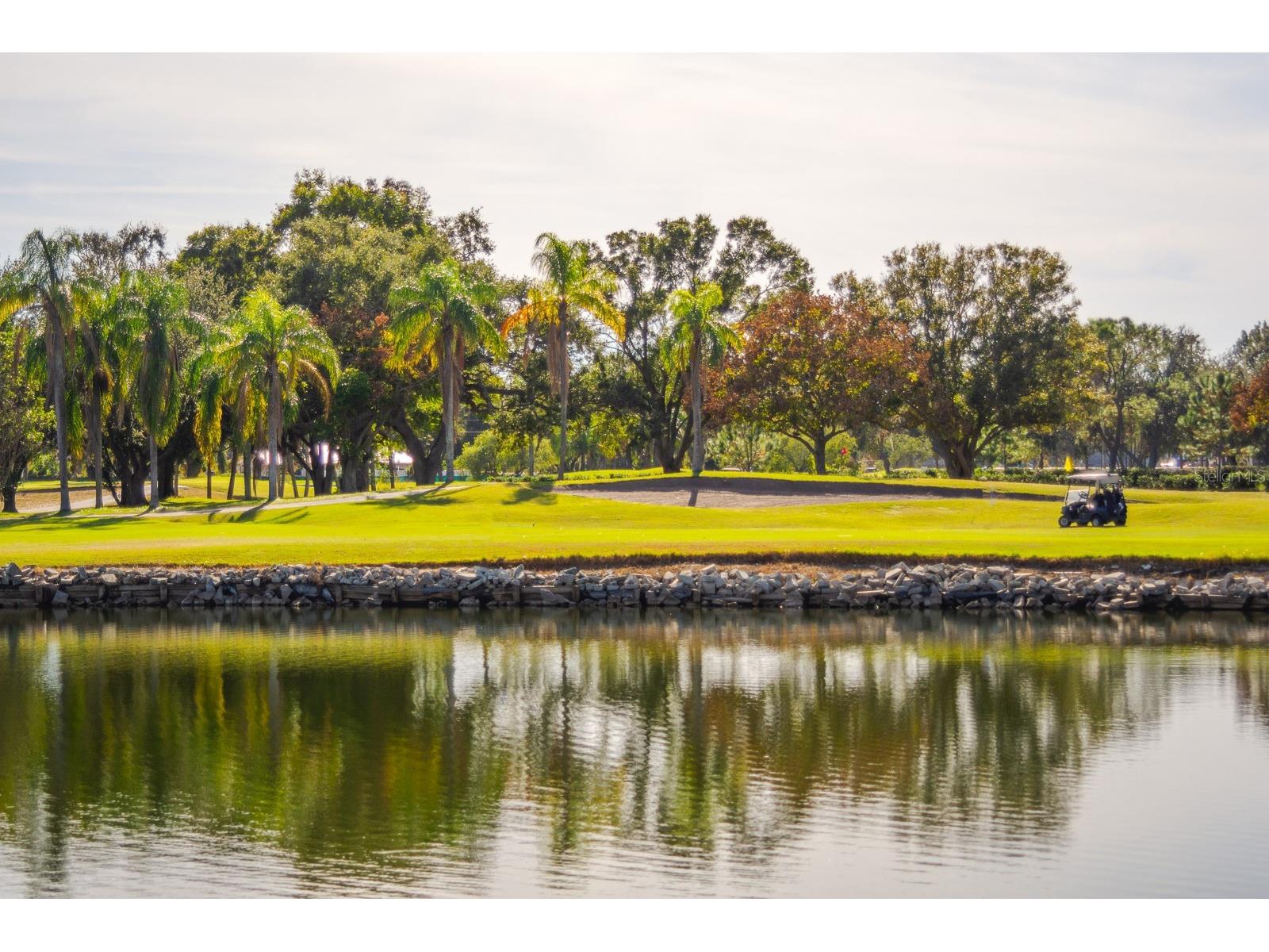 2620 Cove Cay Drive #904 Clearwater FL 33760 TB8504433 image48