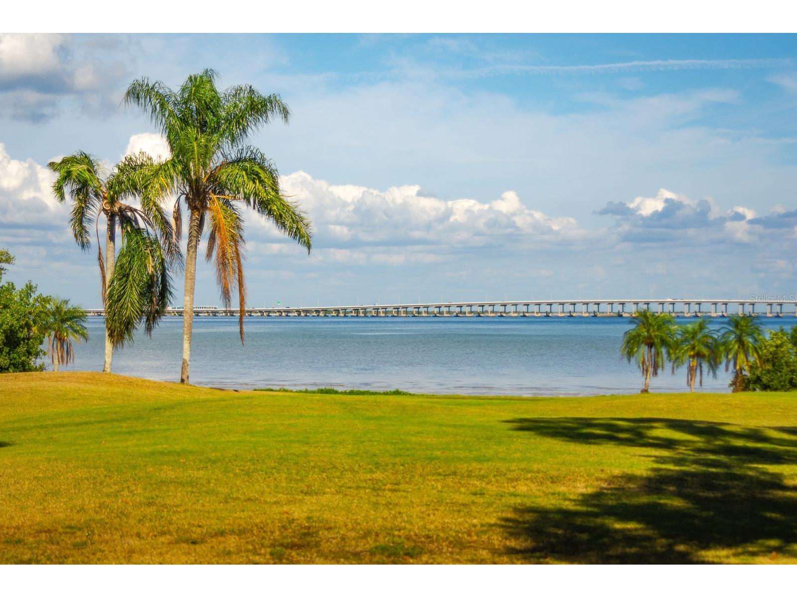 2620 Cove Cay Drive #904 Clearwater FL 33760 TB8504433 image49