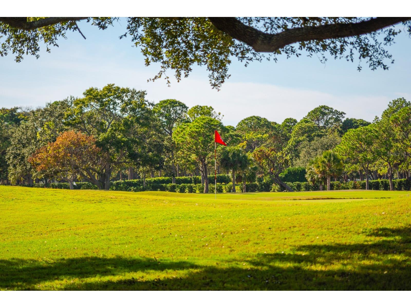 2620 Cove Cay Drive #904 Clearwater FL 33760 TB8504433 image50