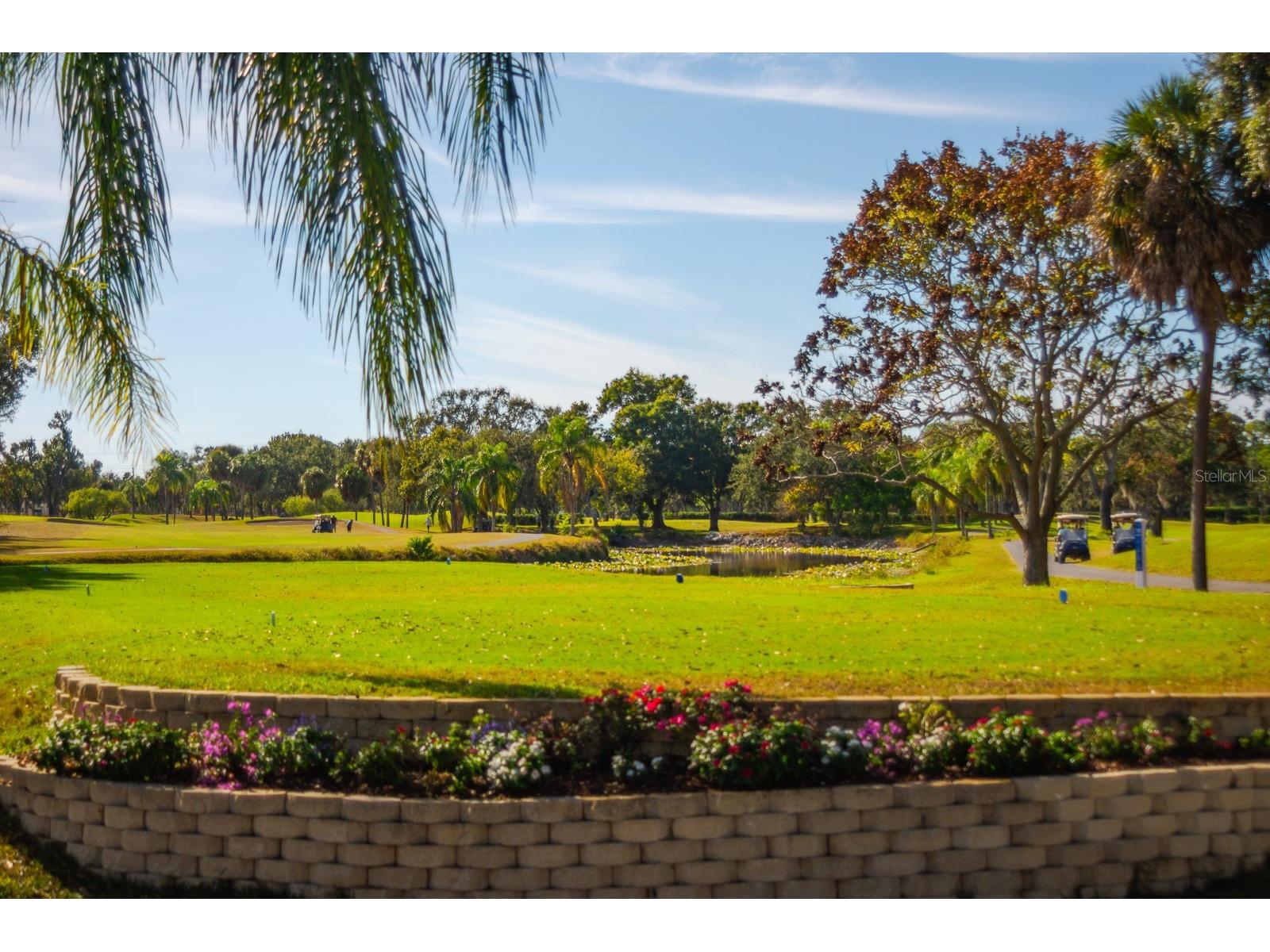 2620 Cove Cay Drive #904 Clearwater FL 33760 TB8504433 image52