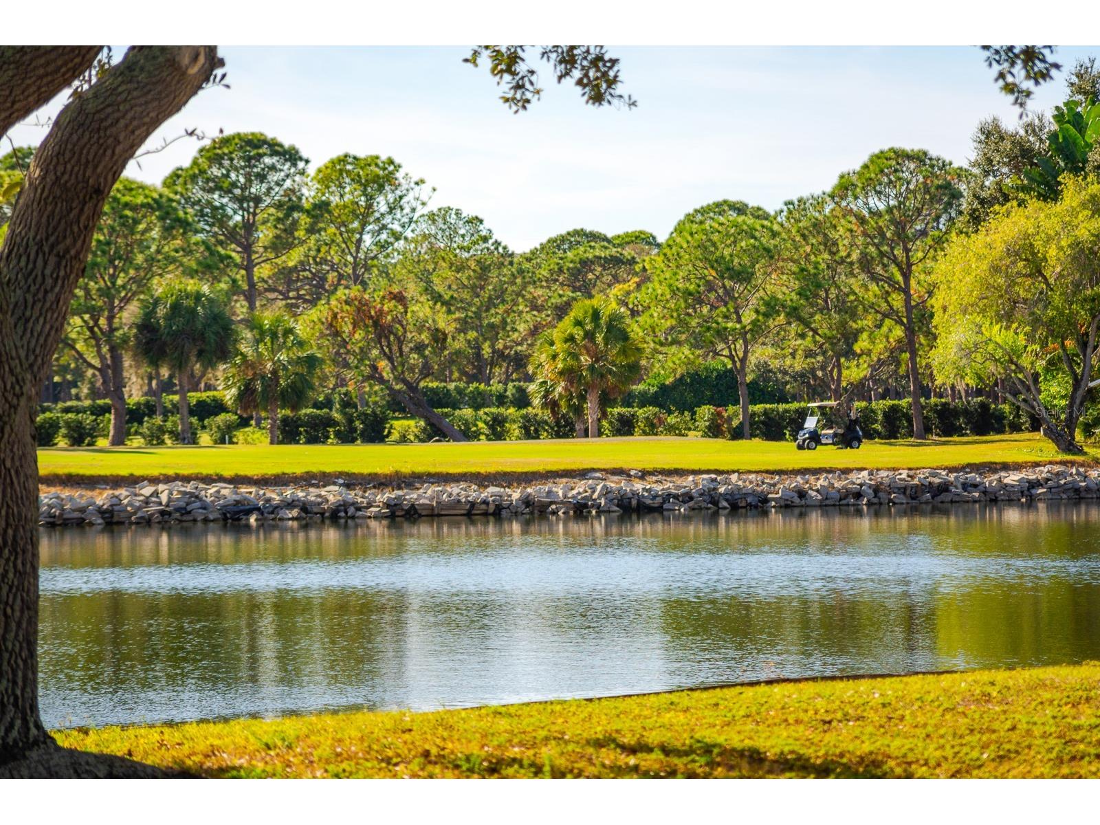 2620 Cove Cay Drive #904 Clearwater FL 33760 TB8504433 image53