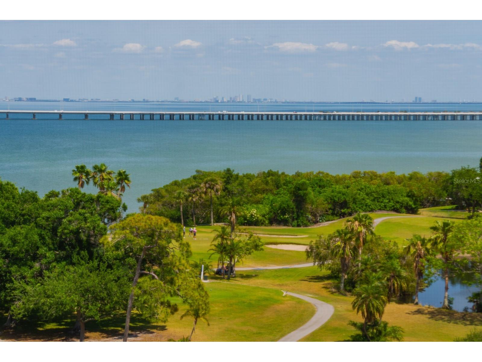 2620 Cove Cay Drive #904 Clearwater FL 33760 TB8504433 image54