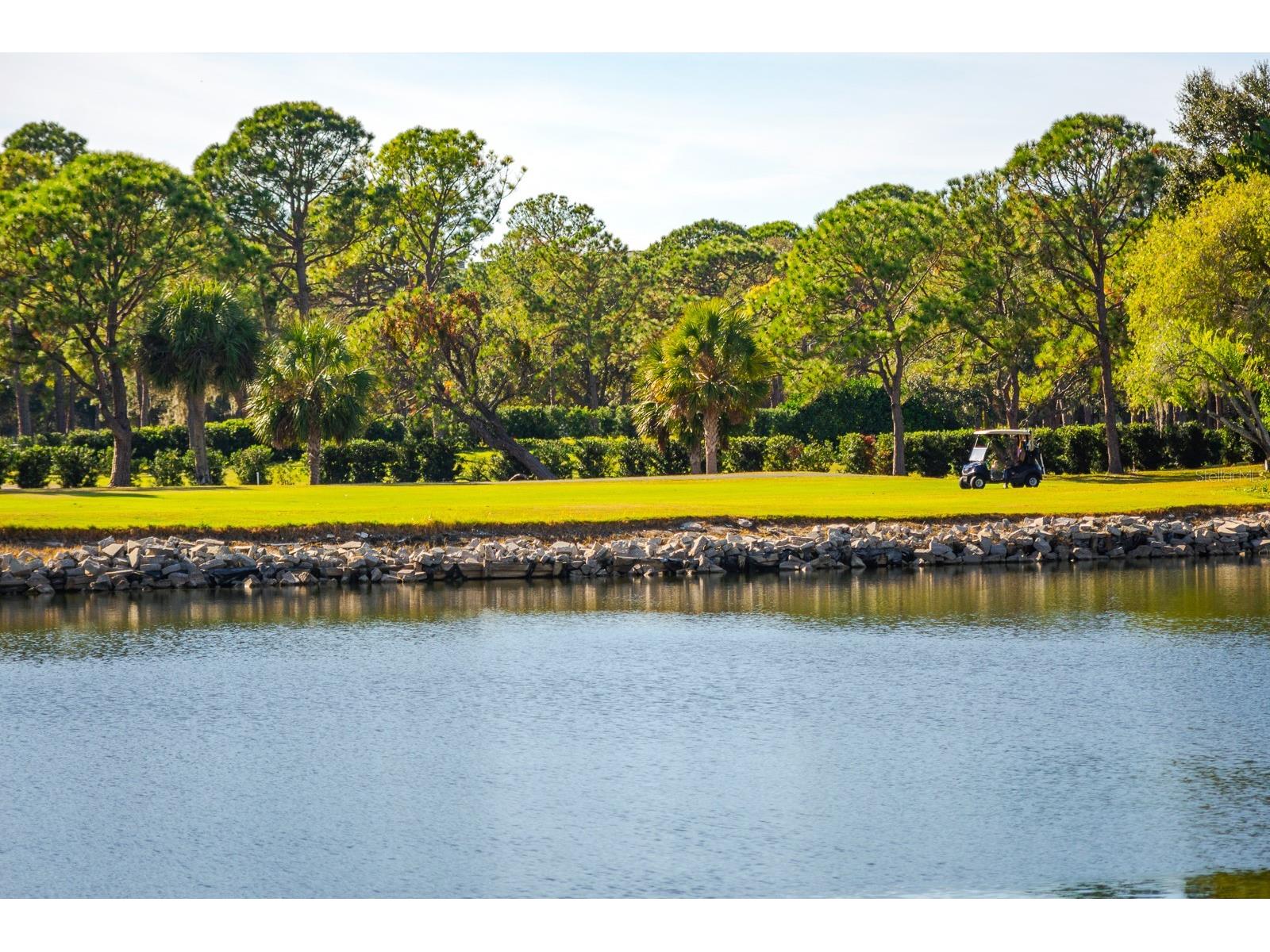 2620 Cove Cay Drive #904 Clearwater FL 33760 TB8504433 image55