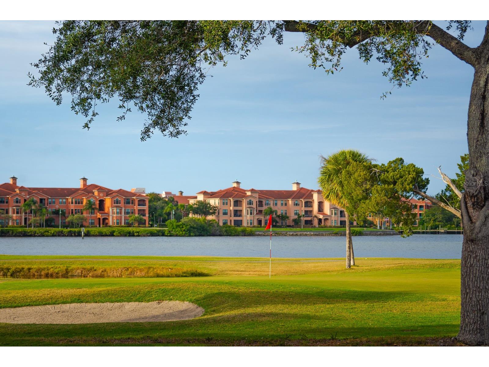 2620 Cove Cay Drive #904 Clearwater FL 33760 TB8504433 image68