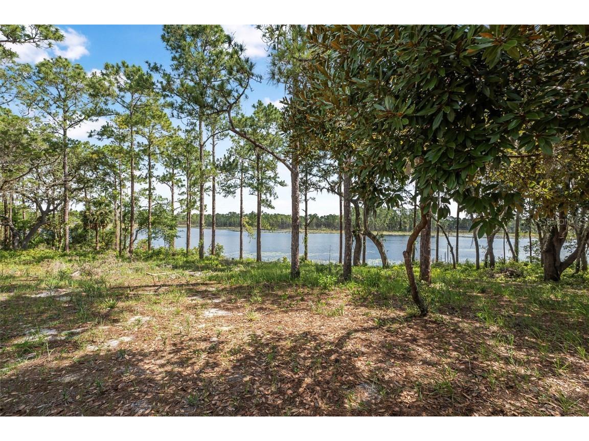 2620 Doyle Road Deltona FL 32738 - LAKE BUTLER V4943264 image46