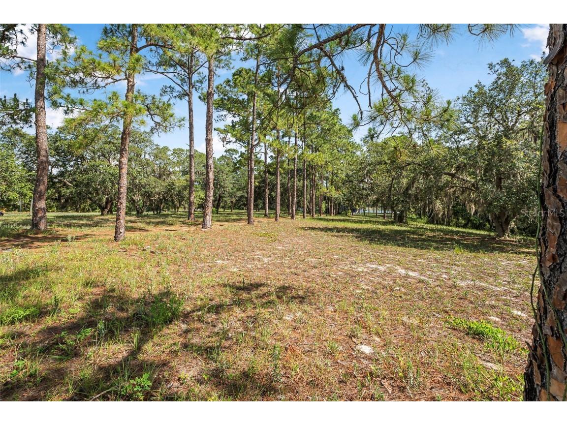 2620 Doyle Road Deltona FL 32738 - LAKE BUTLER V4943264 image50