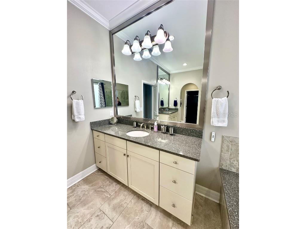 2620 Milford Berry Lane Tampa FL 33618 TB8439419 image29