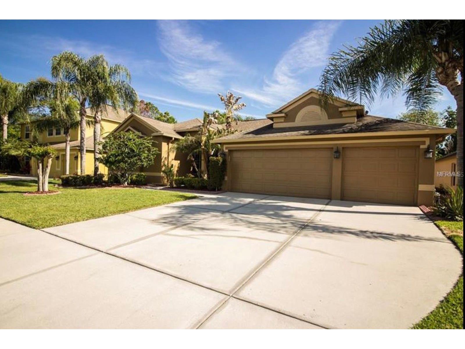 2620 Millhopper Avenue Wesley Chapel FL 33544 TB8494570 image12