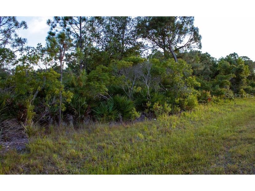 26200 Angelica Road Punta Gorda FL 33955 U8182954 image1