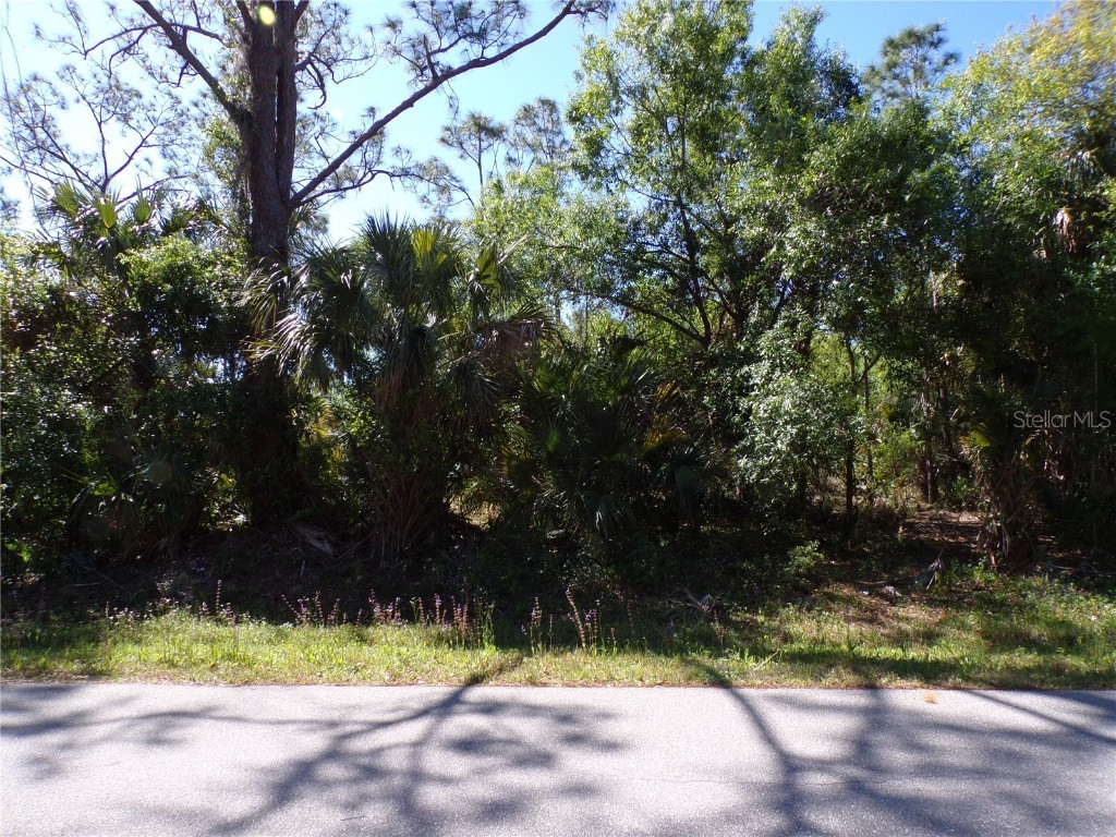 26203 Custer Road Punta Gorda FL 33955 C7507290 image5