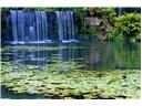 26206 Avenida Las Colinas #4A Howey In The Hills FL 34737 G5108445 image51