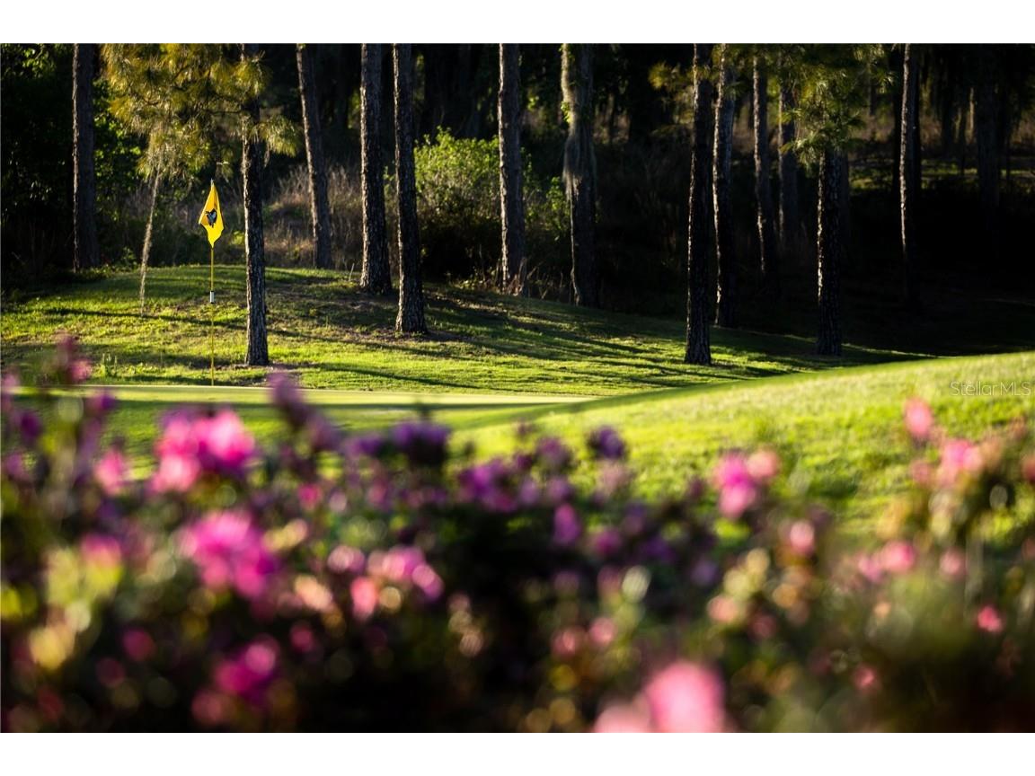 26207 Avenida Las Colinas Howey In The Hills FL 34737 G5095934 image29