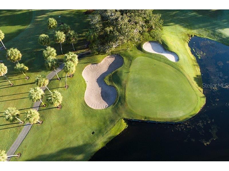 26207 Avenida Las Colinas Howey In The Hills FL 34737 G5095934 image30