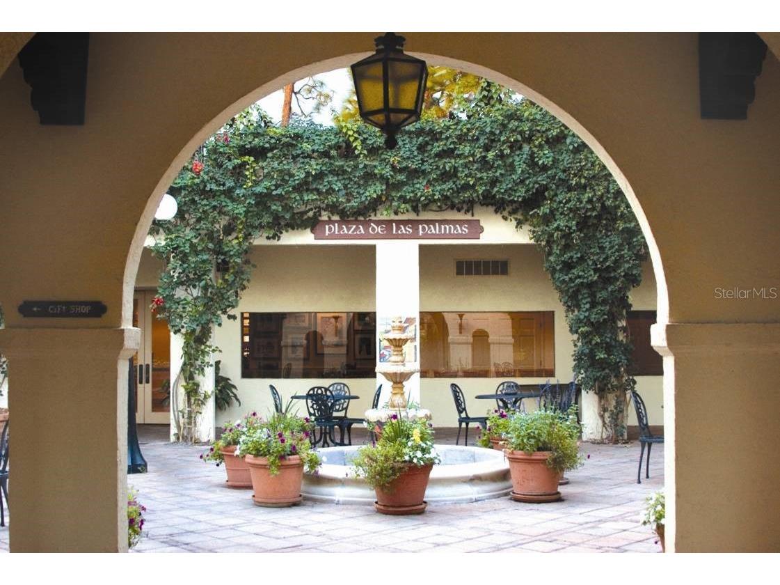 26207 Avenida Las Colinas Howey In The Hills FL 34737 G5095934 image41