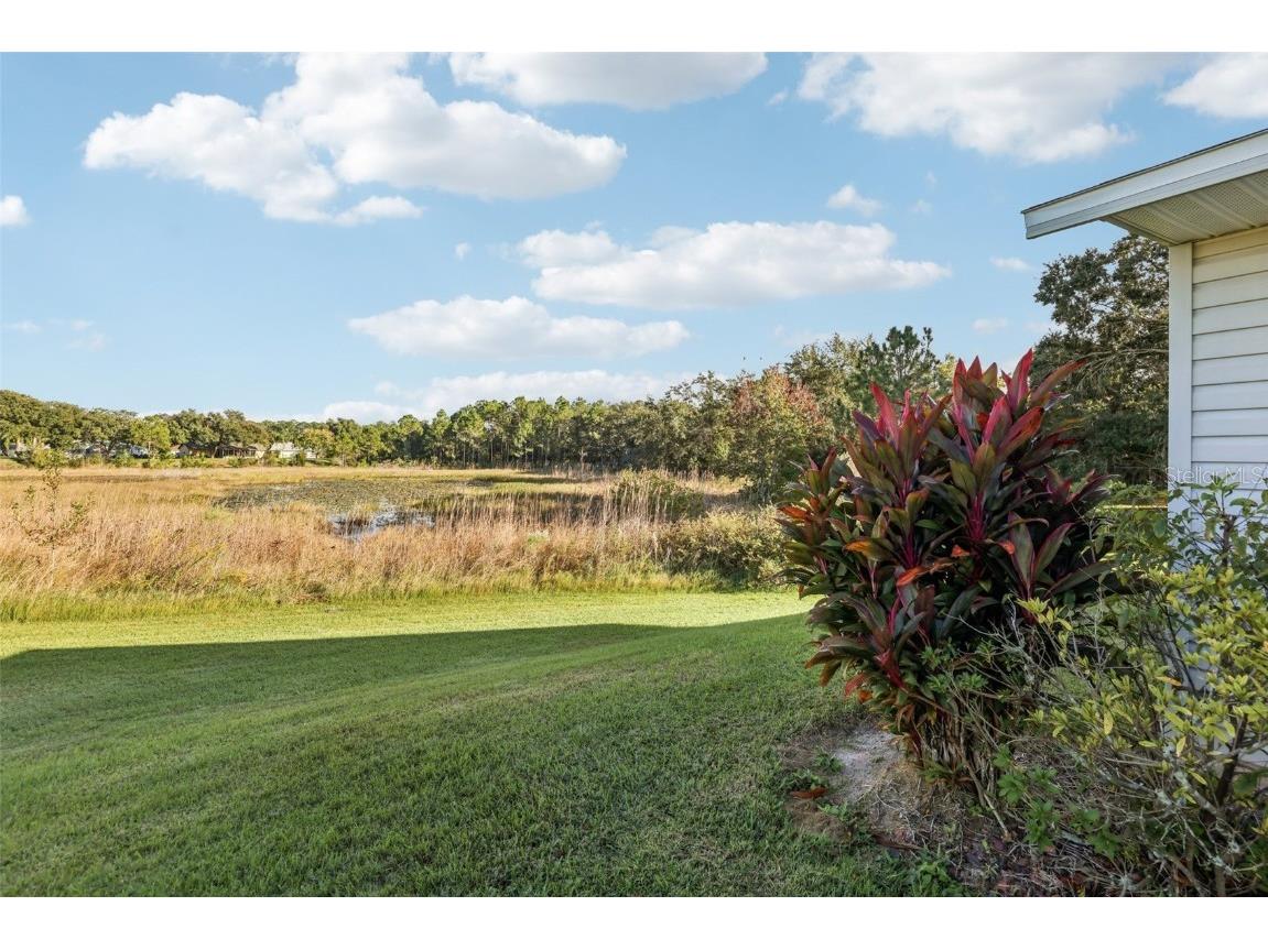 26209 Newcombe Circle Leesburg FL 34748 G5104476 image24