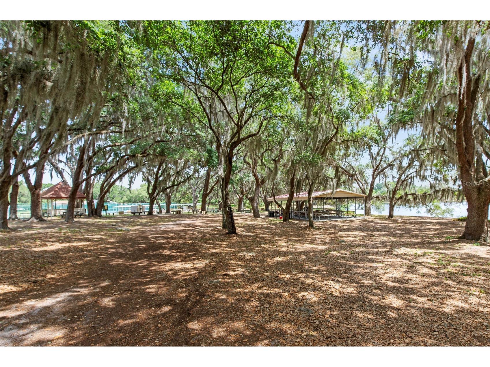 26209 Newcombe Circle Leesburg FL 34748 G5104476 image34