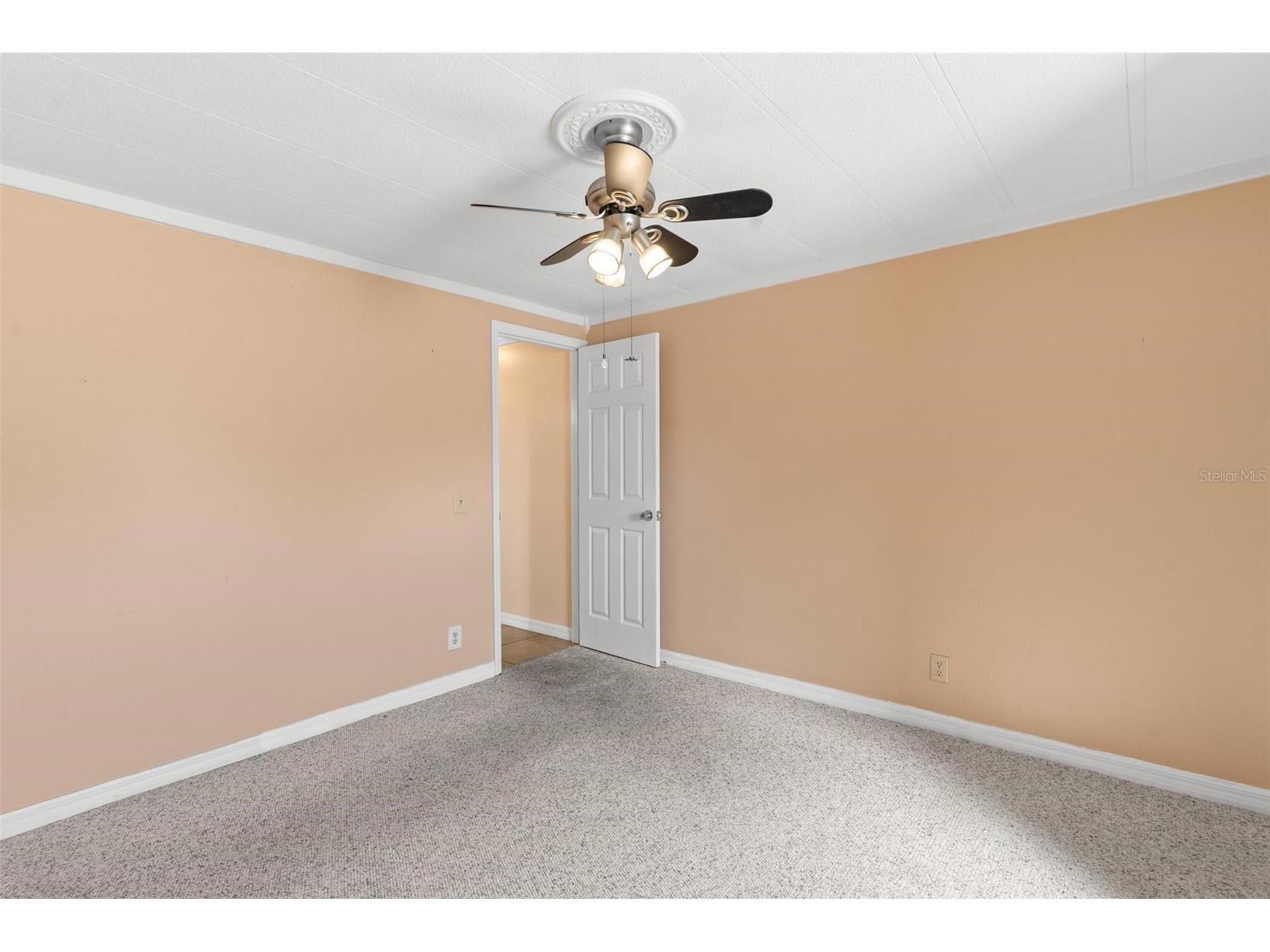 2621 Carpenter Place Leesburg FL 34748 G5110243 image24