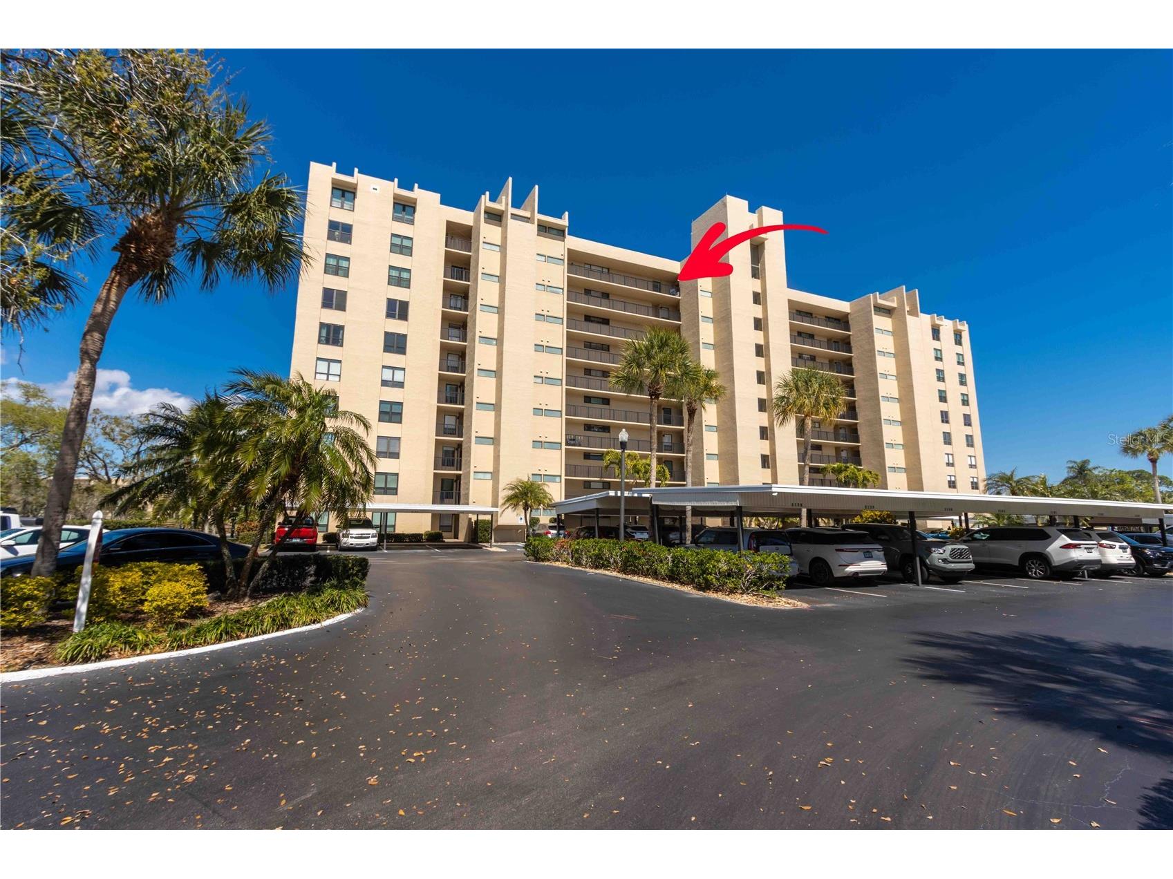 2621 Cove Cay Drive #1003 Clearwater FL 33760 TB8479849 image2