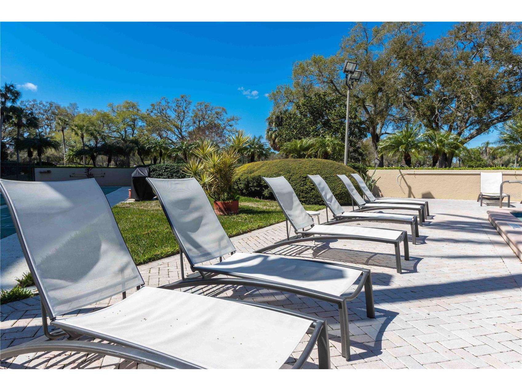 2621 Cove Cay Drive #1003 Clearwater FL 33760 TB8479849 image40