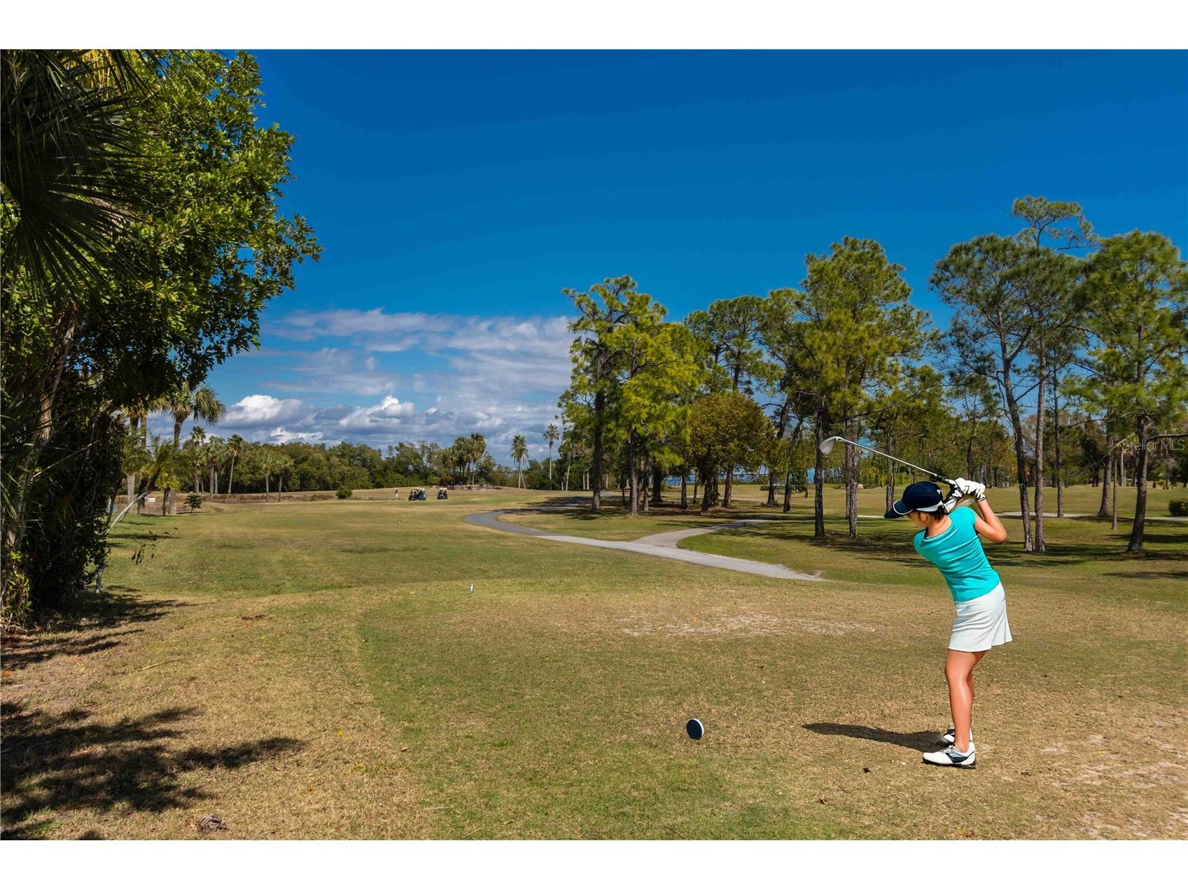 2621 Cove Cay Drive #1003 Clearwater FL 33760 TB8479849 image62